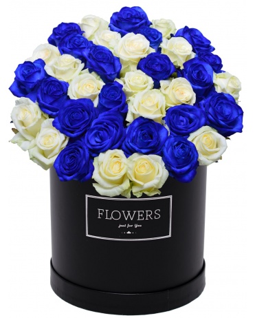 MODRÉ A BÍLÉ RŮŽE V KRABICI