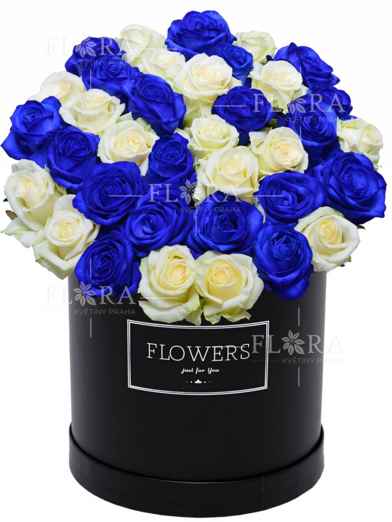 Biele a modre ruže v krabici - flora kvety Praha