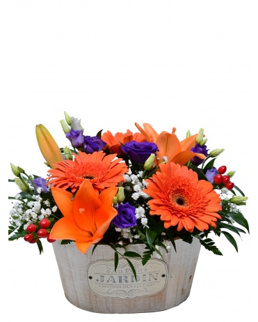 KVĚTINOVÝ KOŠ PENELOPE