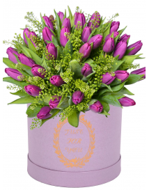 Fialové tulipány v krabici