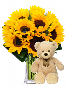 KYTICE SLUNEČNIC SET 3