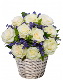 KVĚTINOVÝ KOŠ KODI