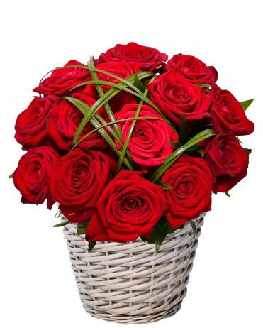 Kvetinový kôš PETI