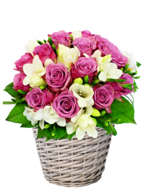 KVĚTINOVÝ KOŠ VIVI