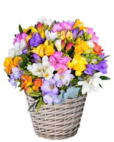 KVĚTINOVÝ KOŠ Z FRÉZIÍ