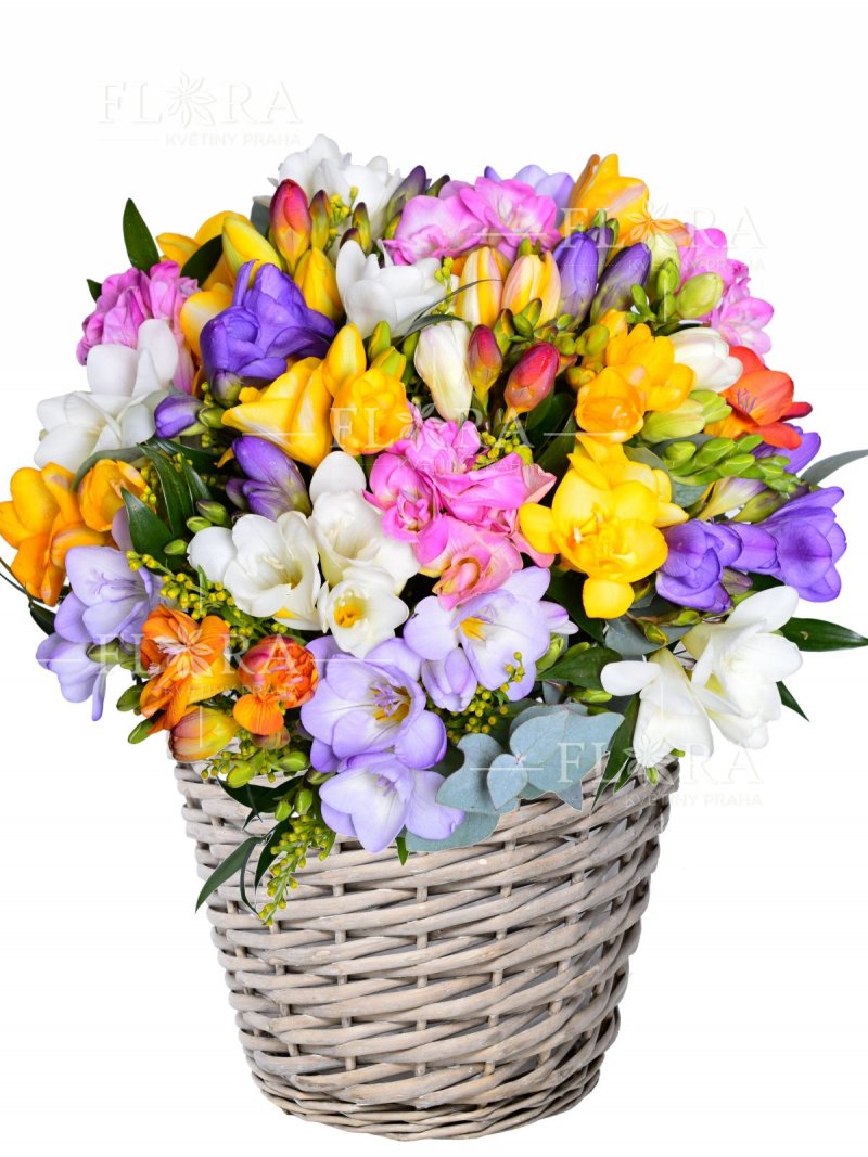 Colorful flower basket - freesia