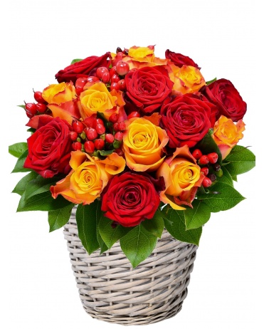 KVETINOVÝ KOŠ ALEX