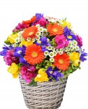 Merry Flower Basket - Flora Prague