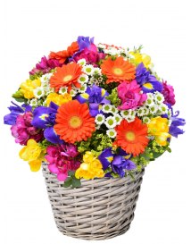 KVĚTINOVÝ KOŠ DANDY