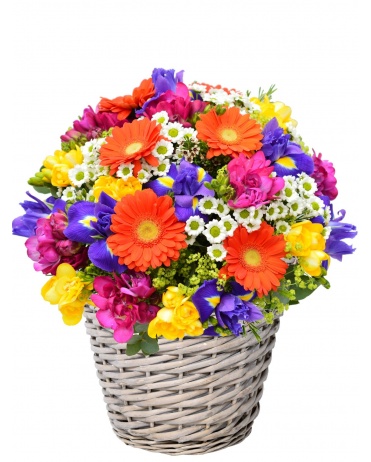 KVĚTINOVÝ KOŠ DANDY