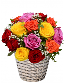 KVĚTINOVÝ KOŠ MIX RŮŽÍ