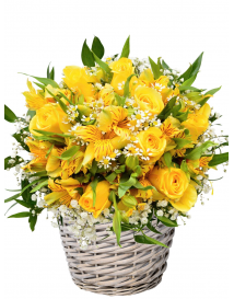 KVĚTINOVÝ KOŠ FANNY