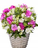 Flower delivery - Flower basket