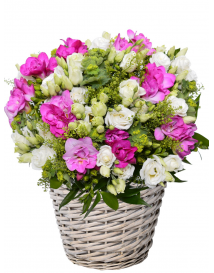 KVĚTINOVÝ KOŠ Z FRÉZIÍ A EUSTOMY