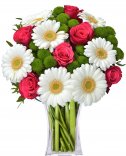 Růže a gerbery - krásná kytice na rozvoz
