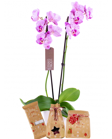 Orchidej s Vánoční kosmetikou