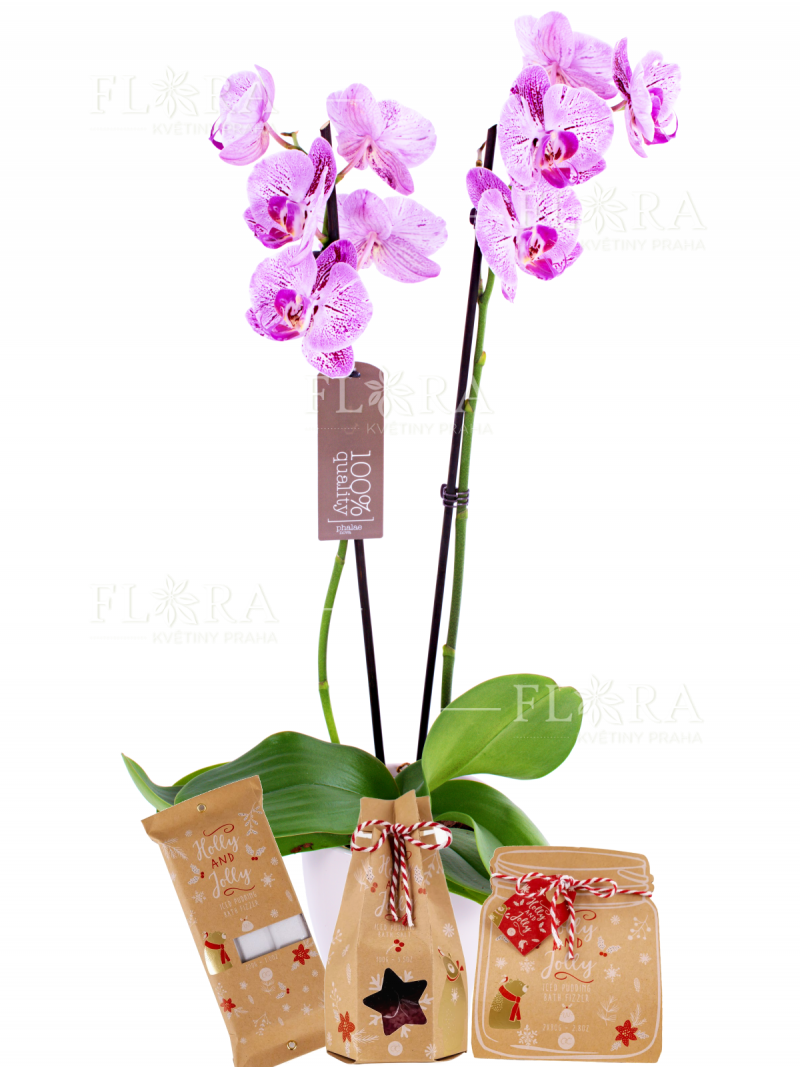 Orchid in a pot with cosmetics