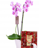 Orchidej s Vánoční kosmetickou kazetou