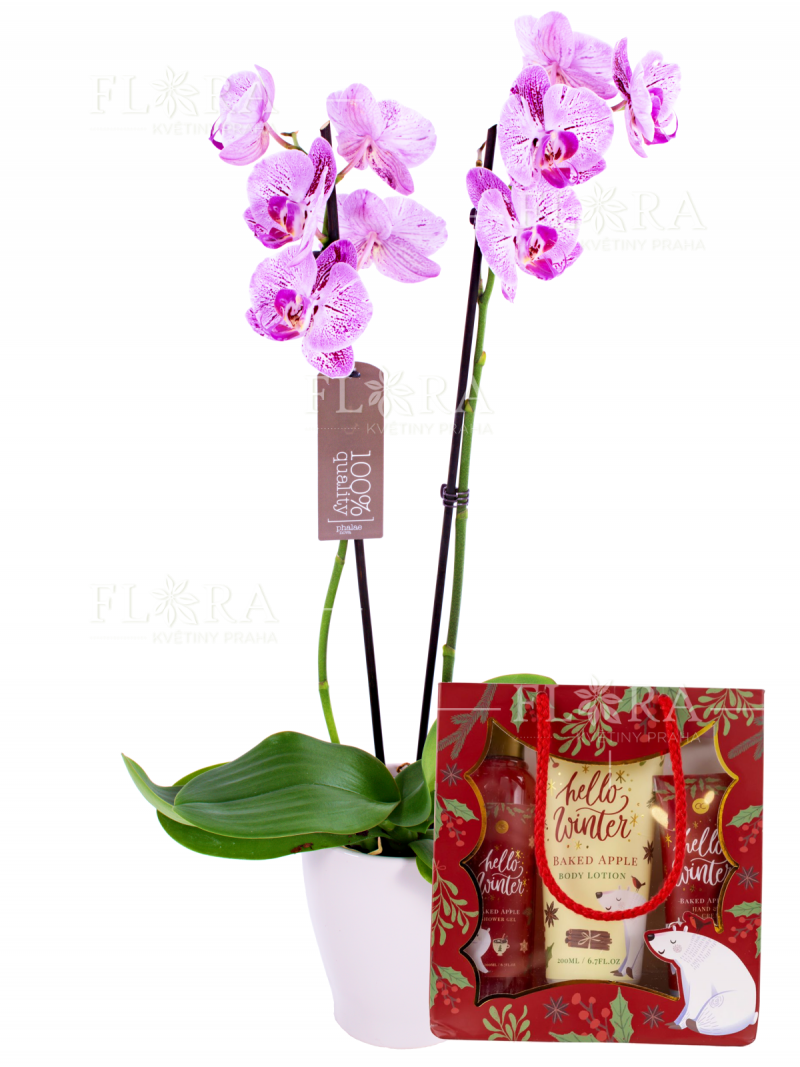 Orchidej s Vánoční kosmetickou sadou
