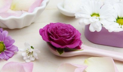 Růže a její využití