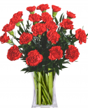 Bouquet of red carnations