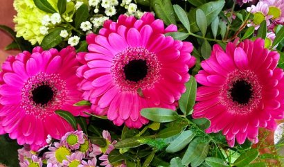 Květiny pro seniory