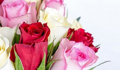 Doručování květin kurýrem