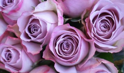 Rozvoz květin v Praze