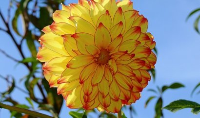 Nejhezčí podzimní květiny