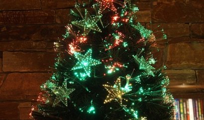 Tradice a vánoční rostliny