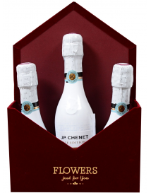 KRABIČKA PLNÁ  J.P. CHENET BÍLÝ