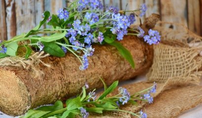 Jaké trvalky na jaro