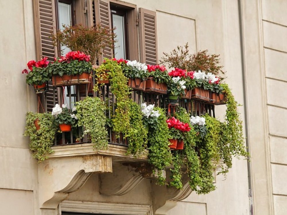 Tipy jak využít váš mini balkon na maximum