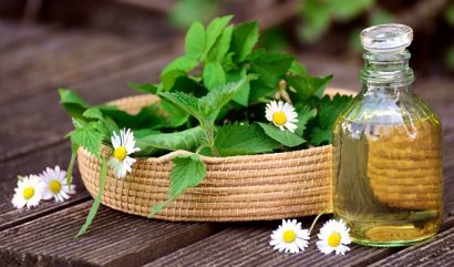 Které bylinky pěstovat i jako dekorace?