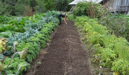 Čtverečková zahrádka