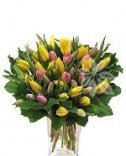Смешивание тюльпанов - Цветы флоры
