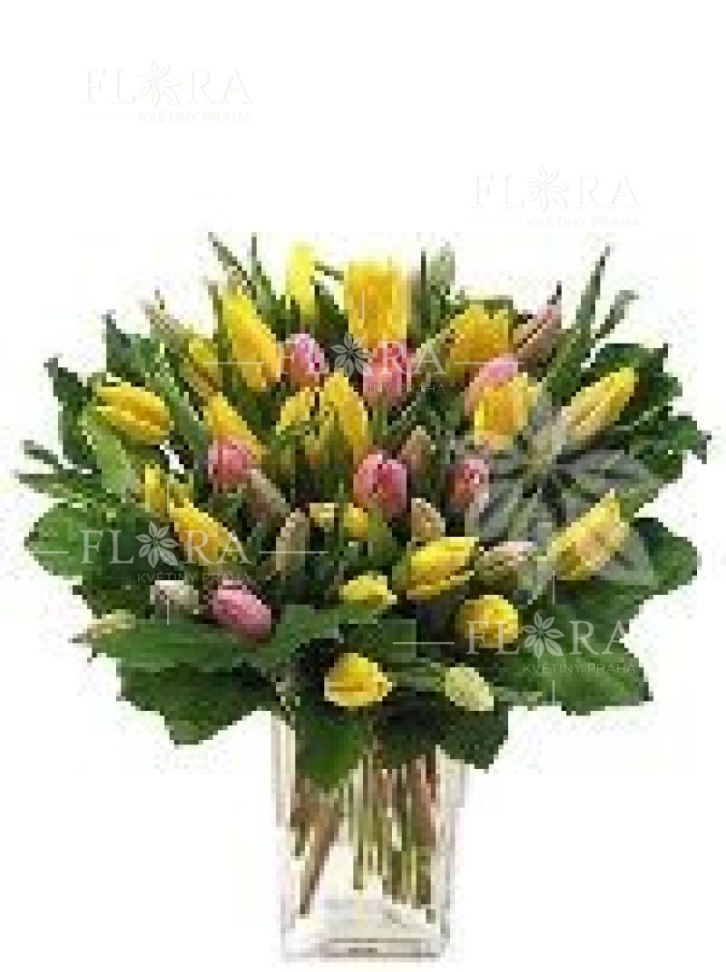 Смешивание тюльпанов - Цветы флоры