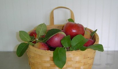 Jak uchovávat zeleninu a ovoce, aby zůstalo čerstvé – průvodce skladováním 1. díl