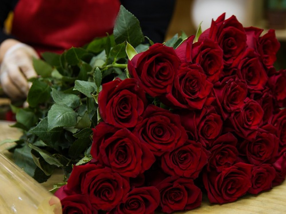Růže pro každou příležitost, kdy poslat kytici čerstvých růží?