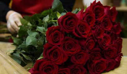 Růže pro každou příležitost, kdy poslat kytici čerstvých růží?