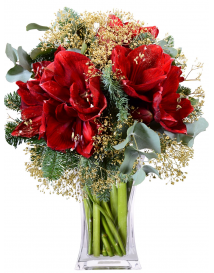 VÁNOČNÍ KYTICE AMARYLISŮ