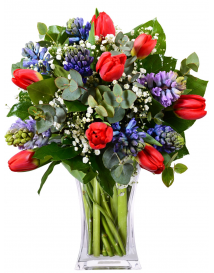 TULIPÁNY + HYACINTY