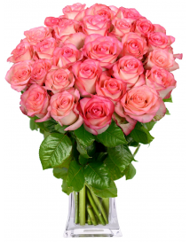 KYTICE ŽÍHANÝCH RŮŽÍ