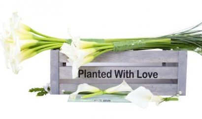 Nová kolekce svatebních květin se připravuje ( více ... )