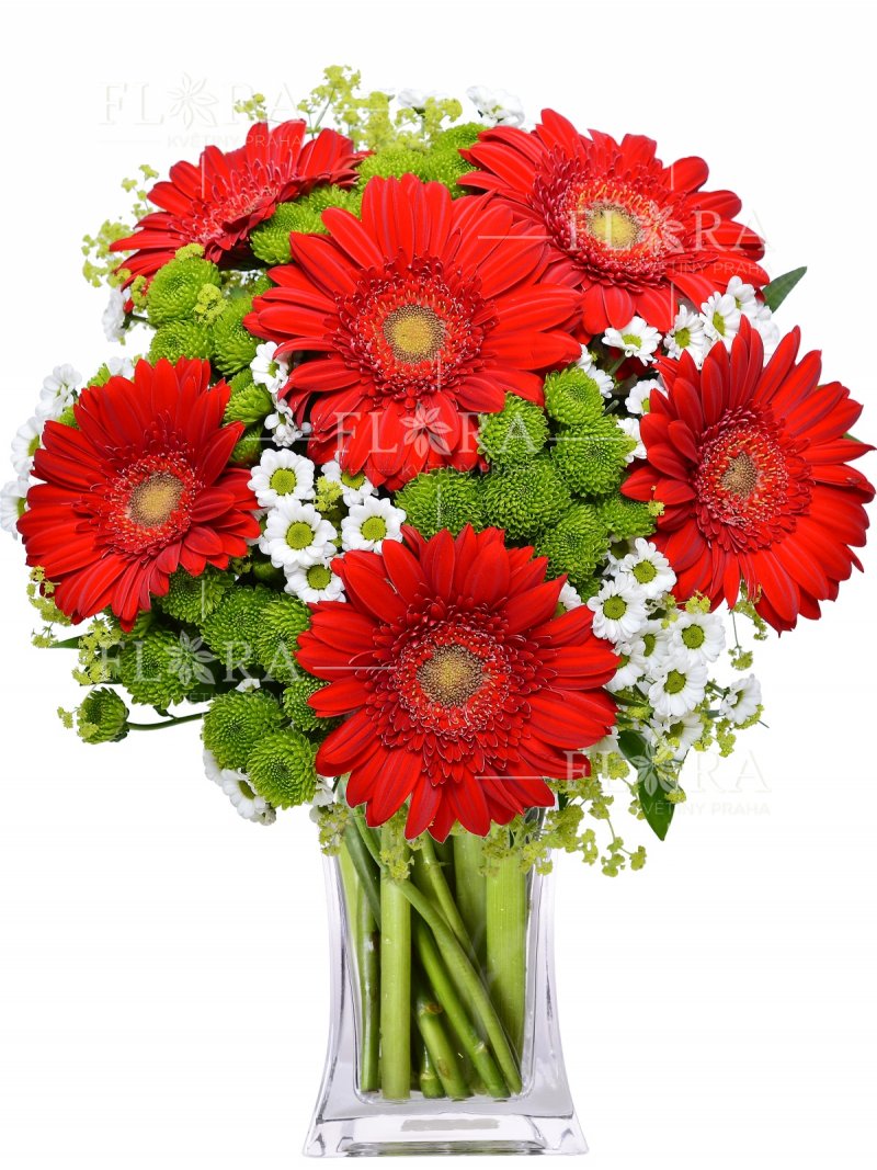 Red gerberas: Flowers Prague