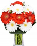 White and red gerberas: Flowers Prague