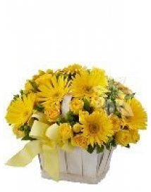 KVĚTINOVÝ KOŠ YELLOW