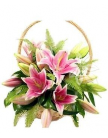 KVĚTINOVÝ KOŠ LILIÍ