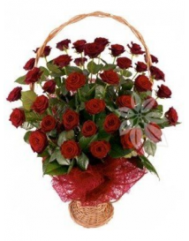 KOŠ RUDÝCH RŮŽÍ